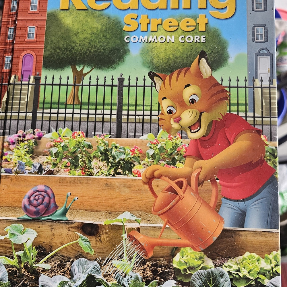 Reading Street Common Core Book
